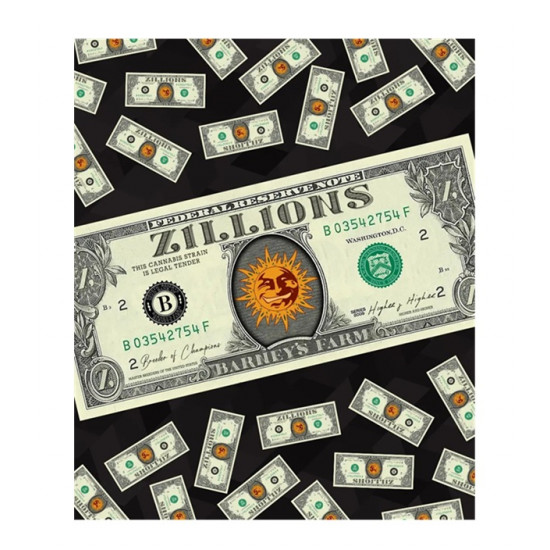 Zillions fem (Brn) NEW 2026