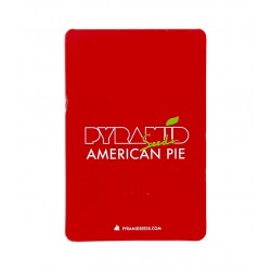 American Pie fem (Py)