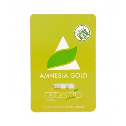 Amnesia Gold fem (Py)