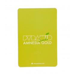 Amnesia Gold fem (Py)