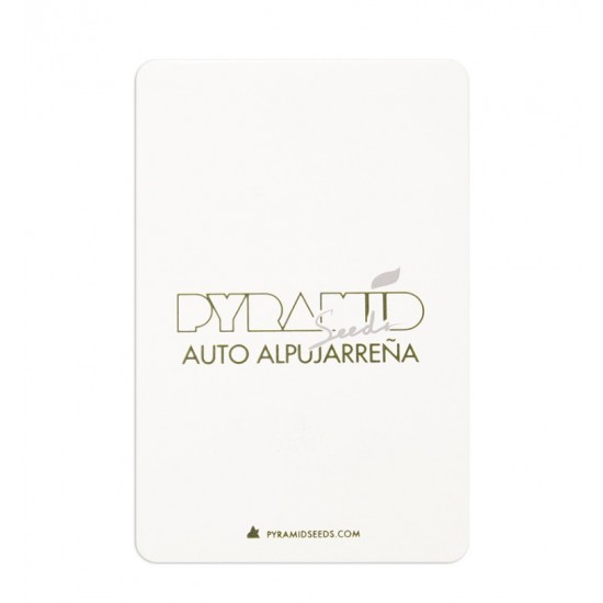 Auto Alpujarreña autofem (Py)