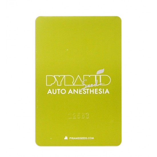 Auto Anesthesia autofem (Py)