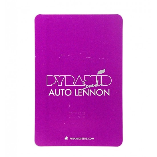 Auto Lennon autofem (Py)