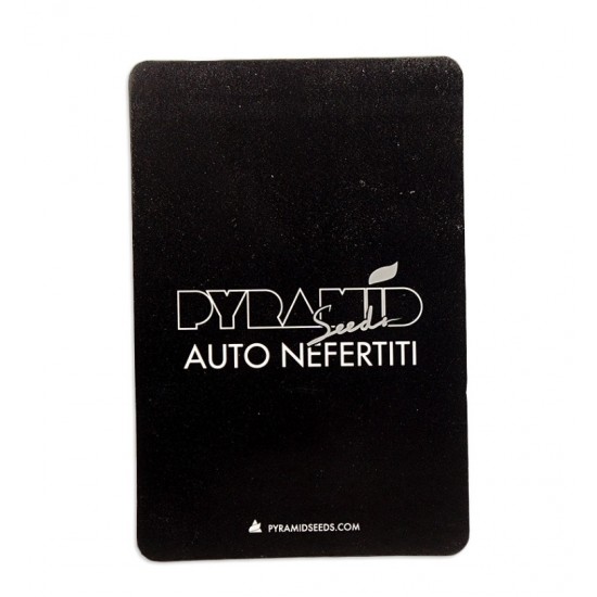 Auto Nefertiti autofem (Py)