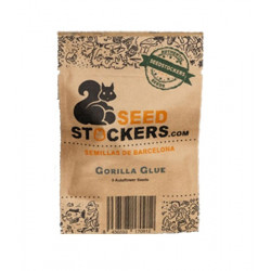 Gorilla Glue Auto autofem (SdSt)