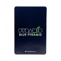 Blue Pyramid fem (Py)