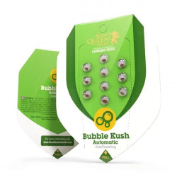 Bubble Kush Automatic autofem (RlQn)