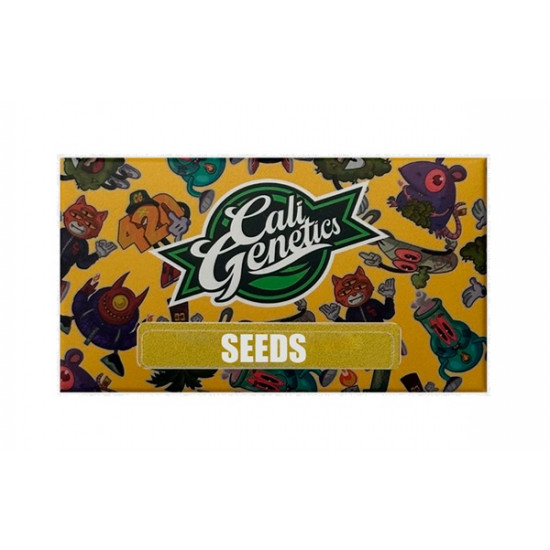 AK Amnesia Auto autofem (ClGen)