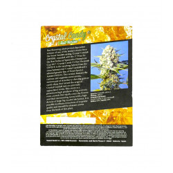 Crystal Candy F1 Fast Version fem (SwS)