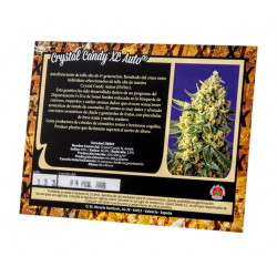Crystal Candy XL Auto autofem (SwS) NEW 2020