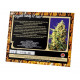 Crystal Candy XL Auto autofem (SwS) NEW 2020 Crystal Candy XL Auto autofem (SwS) NEW 2020