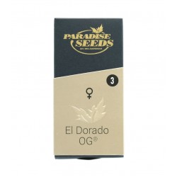 El Dorado OG fem (P)