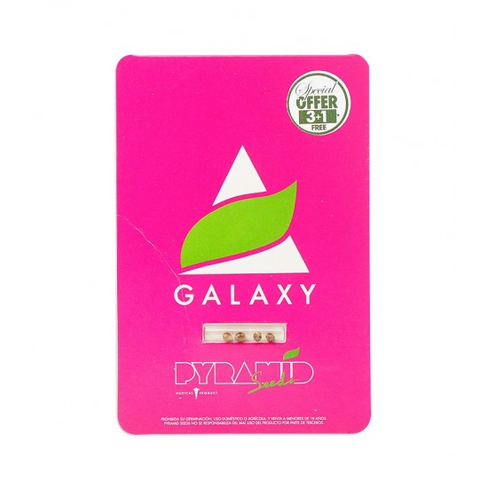 Galaxy fem (Py)