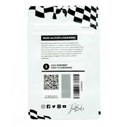 GG4 Sherbet FF fem (FsBd)