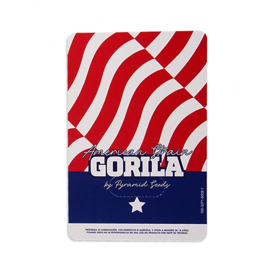 Gorila fem (Py) Gorila fem (Py)