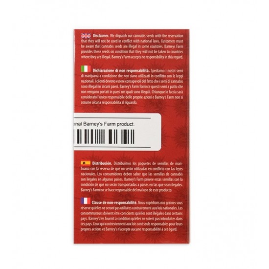 Pineapple express Auto autofem (Brn)