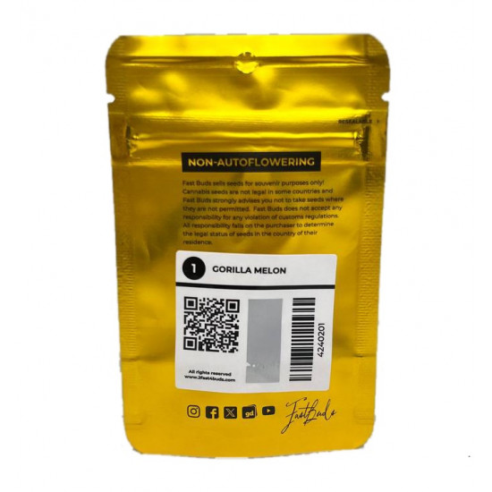 Gorilla Melon fem (FsBd) Gorilla Melon fem (FsBd)