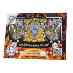 Jet Fuel Mandarine XL Auto autofem (SwS)