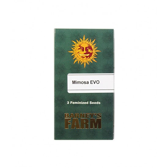 Mimosa EVO fem (Brn) Mimosa EVO fem (Brn)