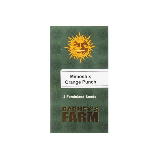 Mimosa x Orange Punch fem (Brn) Mimosa x Orange Punch fem (Brn)