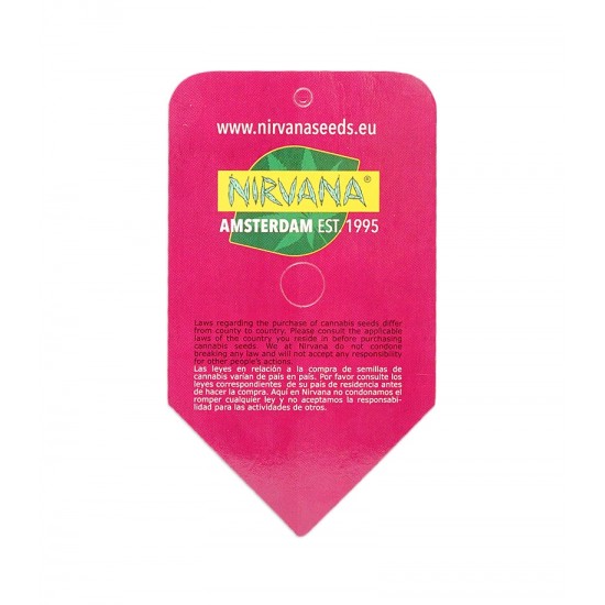 Sterling Haze fem (Nrv)