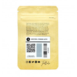 Original Auto Cheese autofem (FsBd)