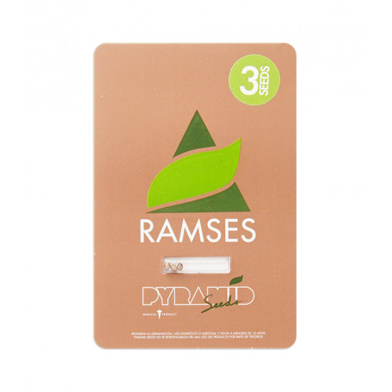 Ramses fem (Py)