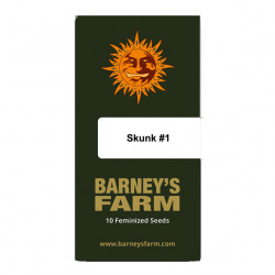 Skunk #1 fem (Brn)