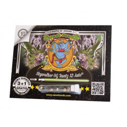 Skywalker OG Runtz XL Auto autofem (SwS)