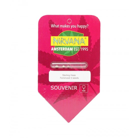 Sterling Haze fem (Nrv)