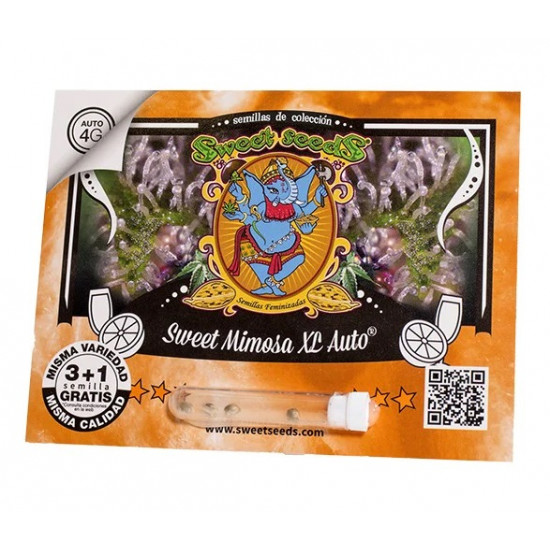 Sweet Mimosa XL Auto autofem (SwS)
