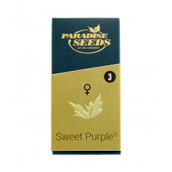 Sweet Purple fem (P)