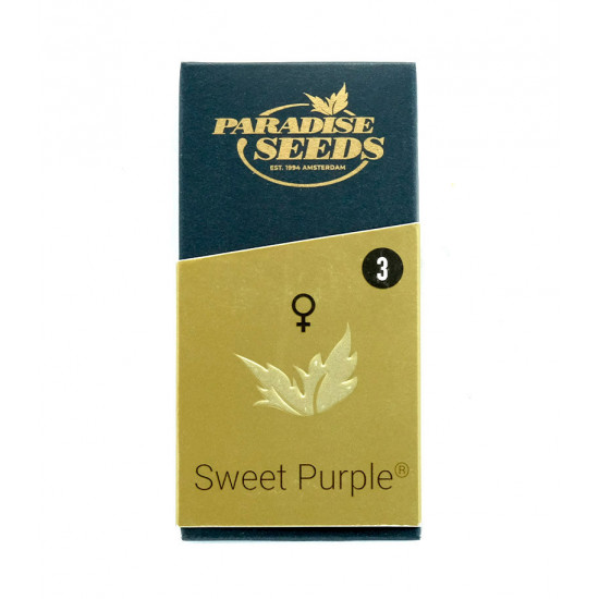 Sweet Purple fem (P) Sweet Purple fem (P)