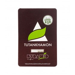 Tutankhamon fem (Py)