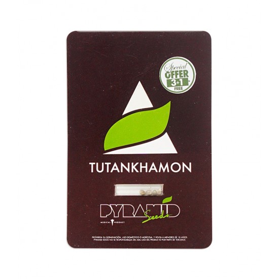 Tutankhamon fem (Py) Tutankhamon fem (Py)