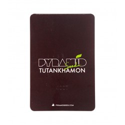 Tutankhamon fem (Py)